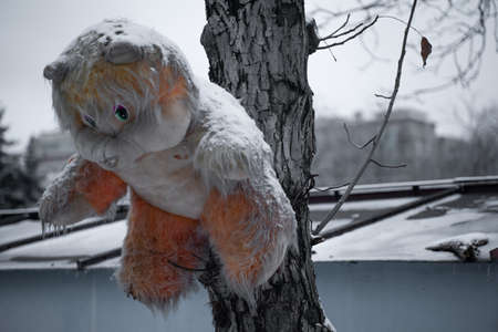 Soft toy hanging on a treeの写真素材