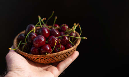 Ripe cherries on a black backgroundの写真素材