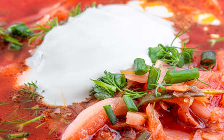 Russian borscht dressed with sour creamの写真素材