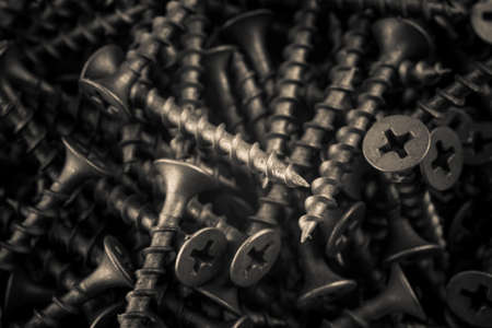 Self-tapping screws as background or textureの写真素材