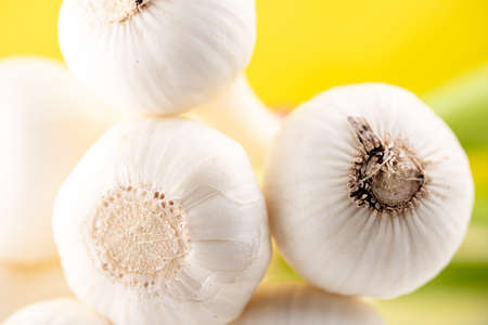 Fresh garlic on yellow backgroundの写真素材