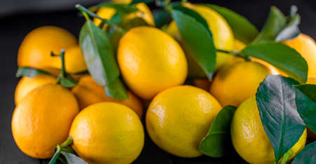 Fresh lemons on wooden backgroundの写真素材