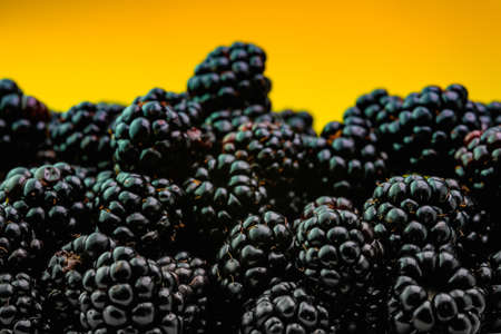 Ripe blackberries on a yellow backgroundの写真素材