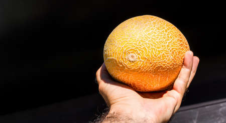 Melon in hand on black backgroundの写真素材