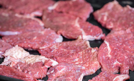 Raw pieces of meat on a baking sheetの写真素材