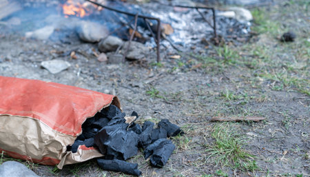 Ready-made coals in a campfire packageの写真素材