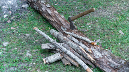 Branches and firewood with an axの写真素材