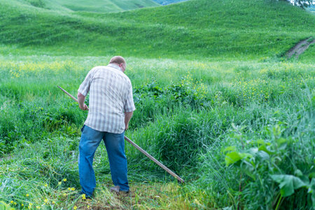 Man mows the grass with a scytheの写真素材