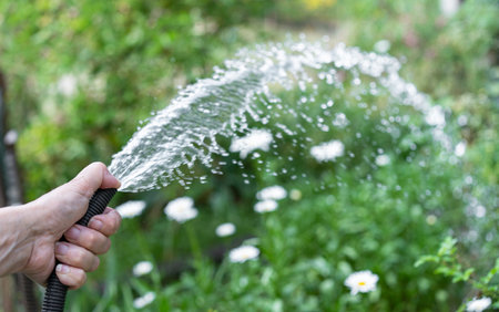 Watering plants with water from a hoseの写真素材