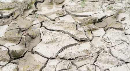 Cracked earth and clay on itの写真素材