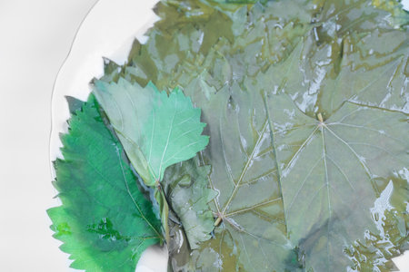 Grape leaves soaked in water for making dolmaの写真素材