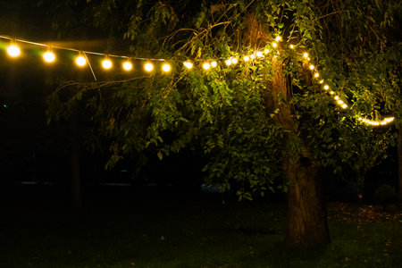 Burning light bulbs at nightの写真素材