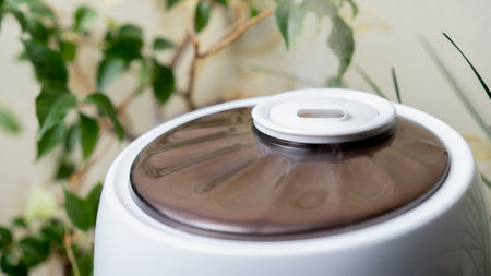 A stylish aromatherapy diffuser releases a gentle mist in a serene indoor space filled with greenery, creating a calming atmosphere perfect for relaxation and wellness.の写真素材