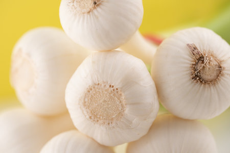 Close-up of several fresh white garlic bulbs arranged neatly, highlighting their round shape and smooth skin against a vibrant yellow backdrop.の写真素材