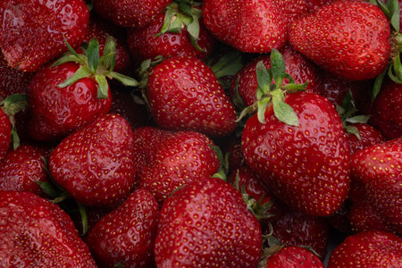 Ripe strawberries are stacked together in a basket at a farmer's market. The summer sunlight enhances their rich red color, inviting shoppers to pick and enjoy them.の写真素材
