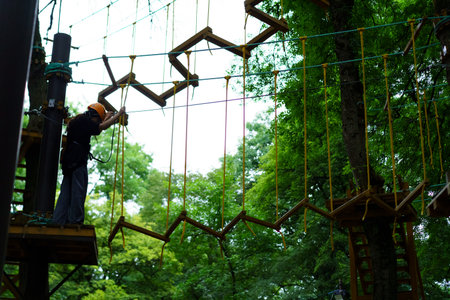 A climber carefully maneuvers through a ropes course high in the trees. Bright green leaves surround the adventure area, highlighting the thrill of the outdoor activity.の写真素材