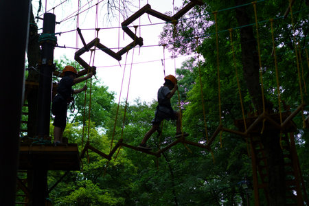 Two children navigate a rope course in a wooded area. They wear helmets and harnesses while balancing on suspended elements, surrounded by greenery and trees.の写真素材