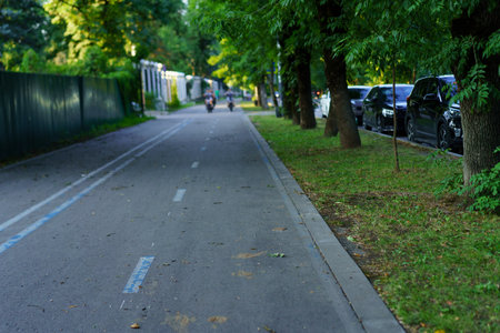 Two cyclists glide smoothly down a wide, tree-shaded bicycle lane next to parked cars on a quiet suburban street during early evening light.の写真素材