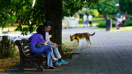 A couple sits closely on a bench, engaged in conversation while looking at a phone. A dog wanders on the path near them in a lively urban park filled with trees.の写真素材