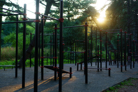 A well-designed outdoor gym features various workout stations, set in a tranquil park illuminated by the warm glow of a sunset, with trees gently framing the area.の写真素材