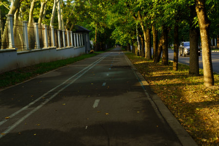 A peaceful pathway runs alongside a street, shaded by tall trees. The late afternoon light casts a warm glow on the asphalt, inviting pedestrians and cyclists to enjoy the serene environment.の写真素材