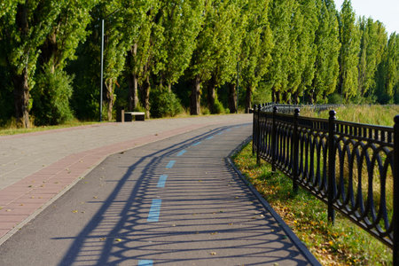 A winding pathway is flanked by vibrant green trees in a peaceful park. The sunlight casts intricate shadows from the decorative fence, enhancing the calm atmosphere.の写真素材
