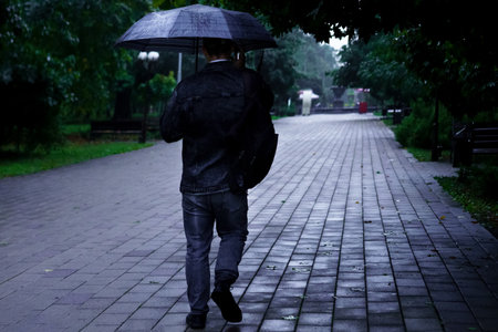 A person walks alone under a black umbrella in a peaceful park. Rain falls gently, creating a serene...