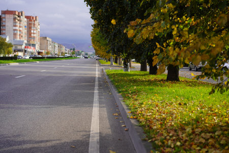 Colorful leaves cover the sidewalk as a quiet city street stretches ahead. Buildings stand in the background, and vehicles can be seen in the distance. The atmosphere reflects the calm of autumn.の写真素材