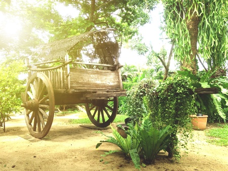 Antique oxcart decorated in gardenの素材