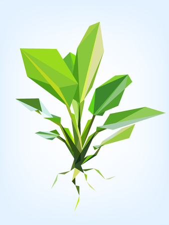 Polygon vector dieffenbachia treeのイラスト素材
