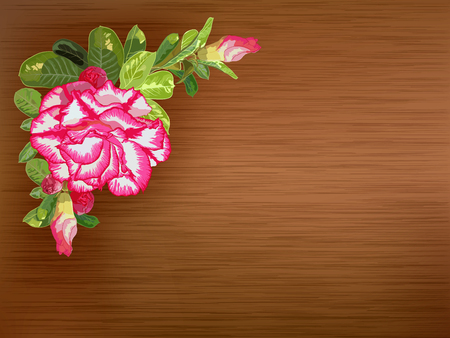 Texture label decorated with desert roseのイラスト素材
