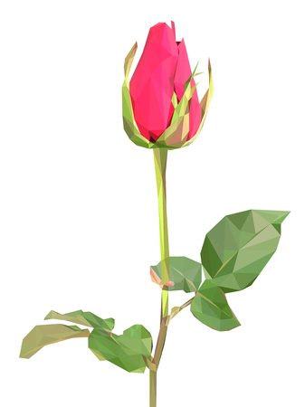 Red polygon roseのイラスト素材