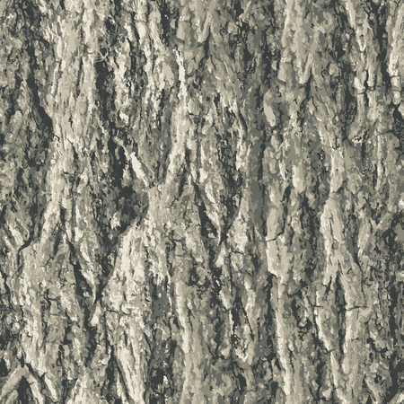 Texture bark shape with seamless background.のイラスト素材