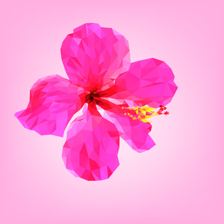 Pink hibiscus flower polygon.のイラスト素材