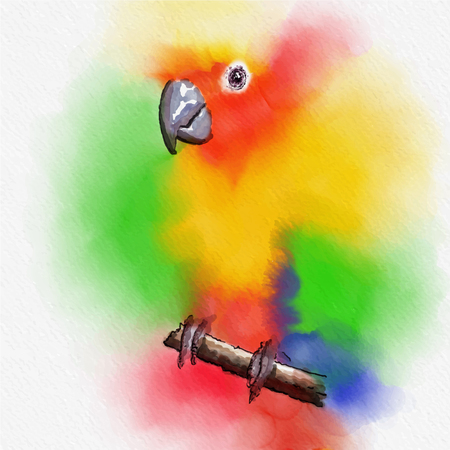 Colorful bird watercolor painting on vector art.のイラスト素材