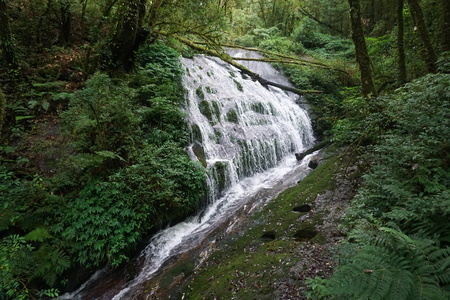 The waterfall in the mountain.の写真素材