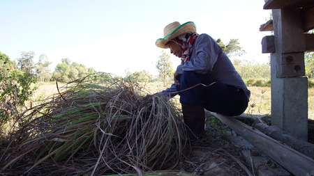 The farmer in the fieldの写真素材