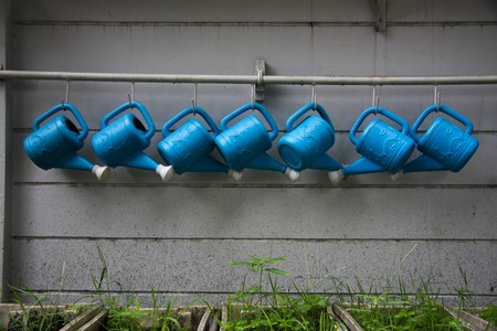 ladle water plantの写真素材