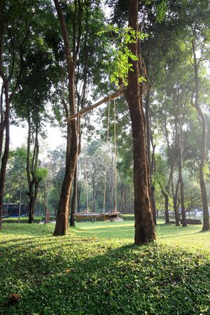 The treeの写真素材