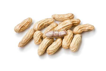boiled peanuts on white backgroundの写真素材