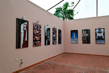 CHIANGMAI THAILAND - DECEMBER 4 : gallery show in The International Horticultural Exposition Ratchaphruek 2011. Even on 14 december 2011 - 14 march 2012. On December 4,2011 in Chiangmai, Thailand.のeditorial素材