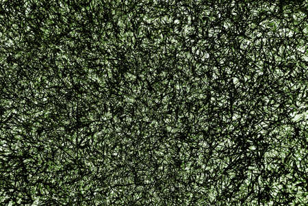 abstract line background