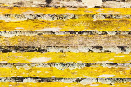 wood texture with mossyの写真素材