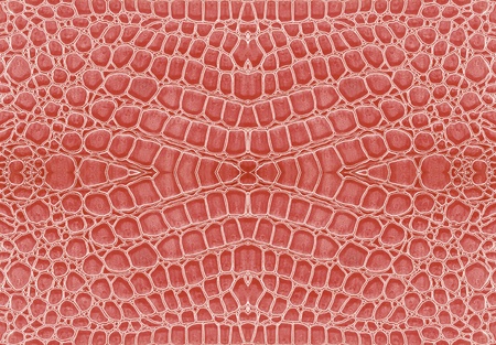 pink color of crocodile leather background