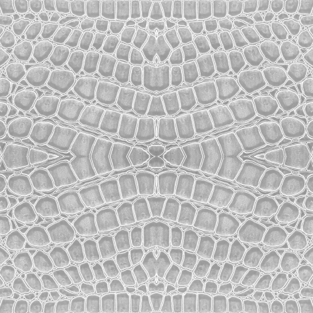 white color of crocodile leather background