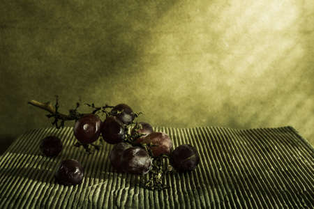 withered grapes vintage style の写真素材