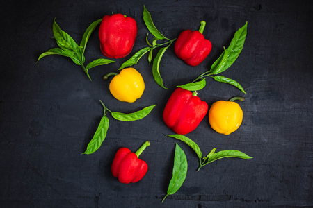 Bell peppers on a black backgroundの写真素材