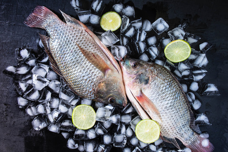 Fresh fish of tilapia on ice with lemon paste.の写真素材