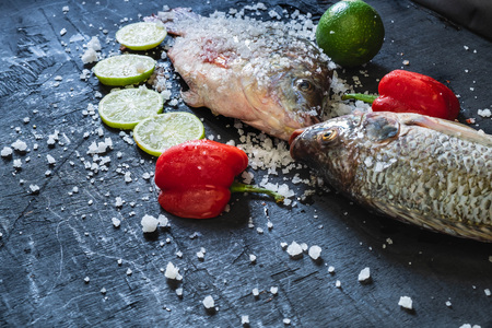 Fresh fish of tilapia with salt and seasoning for cooking.の写真素材