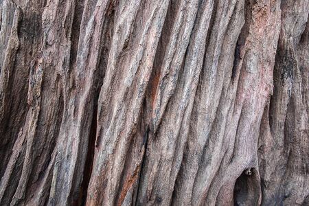 Old wooden background details